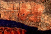 USA 2004 Gran Canyon HDR4 (2048x1365)